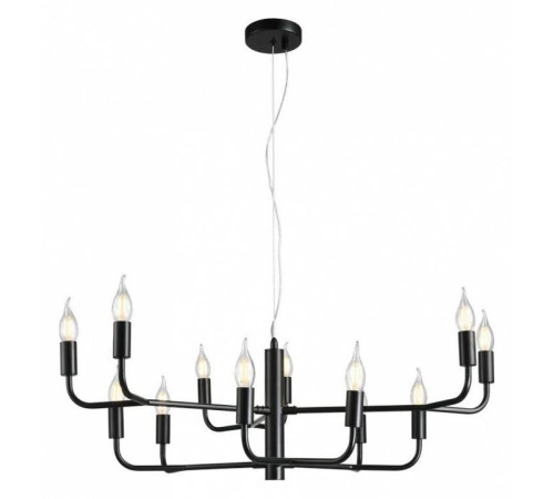 Подвесная люстра Aployt Evlalia APL.338.13.12