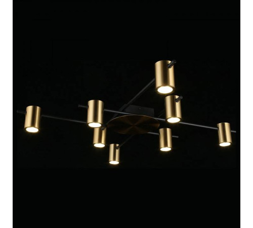 Потолочная люстра Aployt Elwisia APL.633.07.08