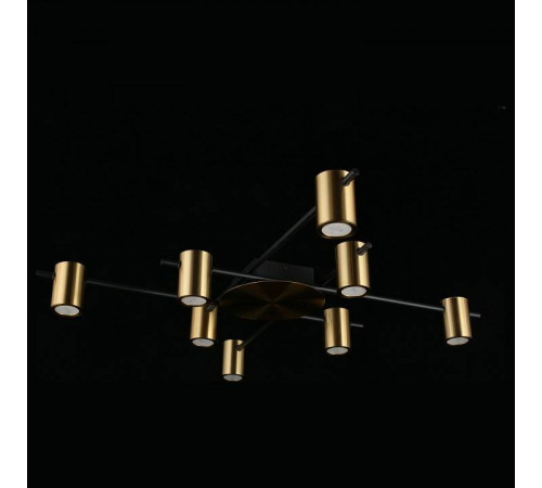 Потолочная люстра Aployt Elwisia APL.633.07.08