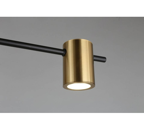 Потолочная люстра Aployt Elwisia APL.633.07.08