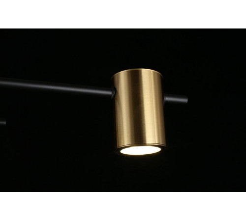 Потолочная люстра Aployt Elwisia APL.633.07.08