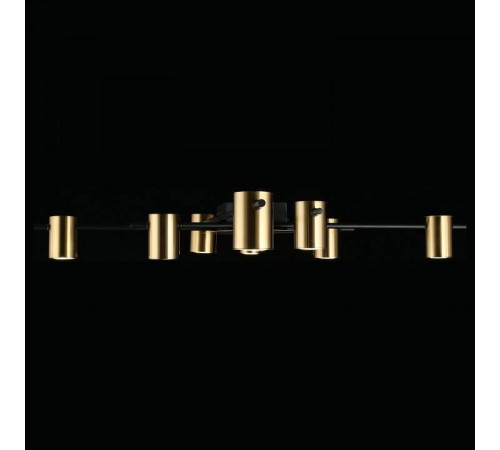 Потолочная люстра Aployt Elwisia APL.633.07.08