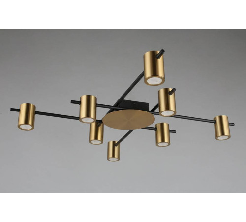 Потолочная люстра Aployt Elwisia APL.633.07.08