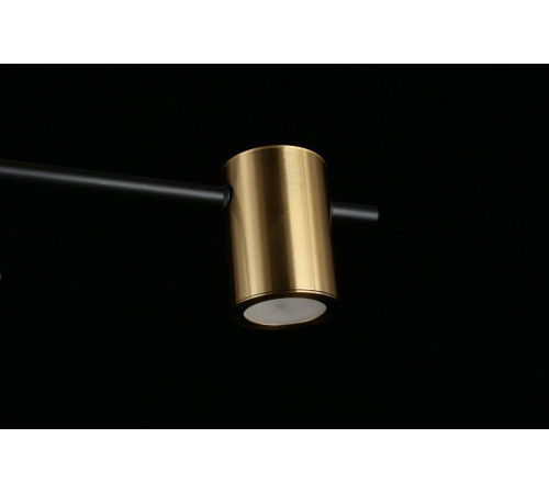 Потолочная люстра Aployt Elwisia APL.633.07.08