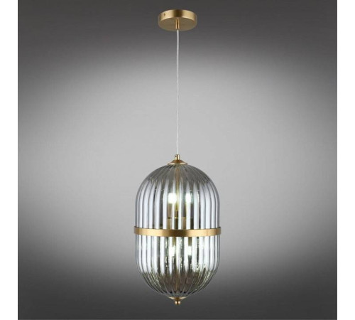 Подвесной светильник Aployt Ludovica APL.860.06.06