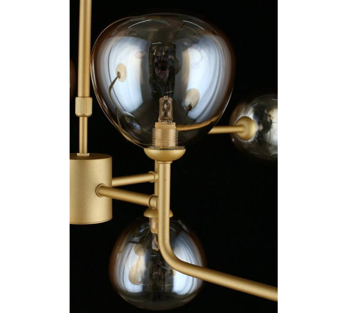 Люстра на штанге Aployt Roser APL.913.17.08