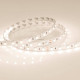 Лента светодиодная Arlight RT 2-5000 24V Warm2400 300 LED LUX 018099(B)