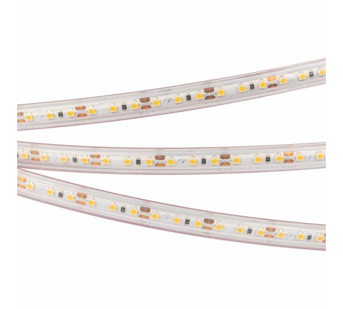 Лента светодиодная Arlight RTW герметичная 022319(2)