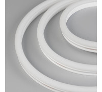 Шнур световой Arlight WAVE-SIDE-A120-12x25mm 047810