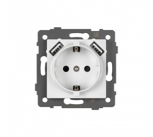 Розетка с заземлением и 2хUSB type A, без рамки Arlight SCT 049818