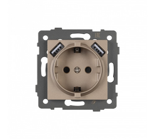 Розетка с заземлением и 2хUSB type A, без рамки Arlight SCT 049821