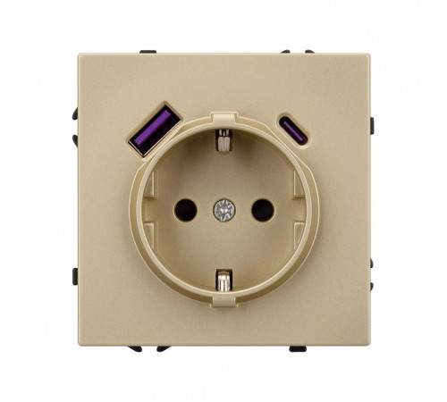 Розетка с заземлением и 2хUSB type A, без рамки Arlight SCT 054286