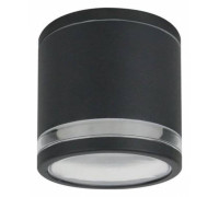 Накладной светильник Arte Lamp Nunki A1910PF-1BK