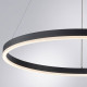 Подвесной светильник Arte Lamp Siren A2548SP-45BK