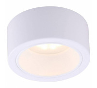 Накладной светильник Arte Lamp Effetto A5553PL-1WH