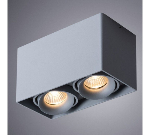 Накладной светильник Arte Lamp Pictor A5654PL-2GY