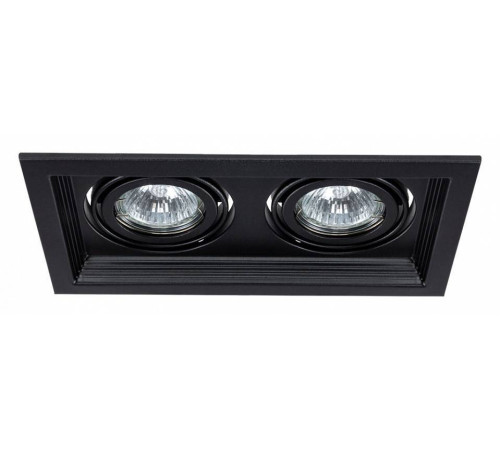 Встраиваемый светильник Arte Lamp Canis A6661PL-2BK