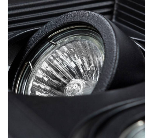 Встраиваемый светильник Arte Lamp Canis A6661PL-2BK