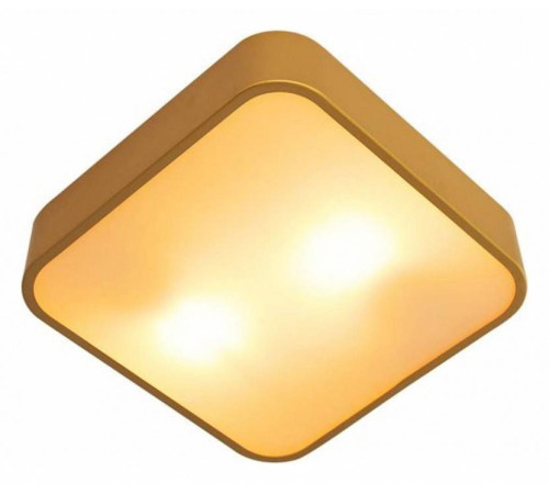 Накладной светильник Arte Lamp Cosmopolitan A7210PL-2GO