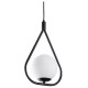 Подвесной светильник Arte Lamp Matisse A7764SP-1BK