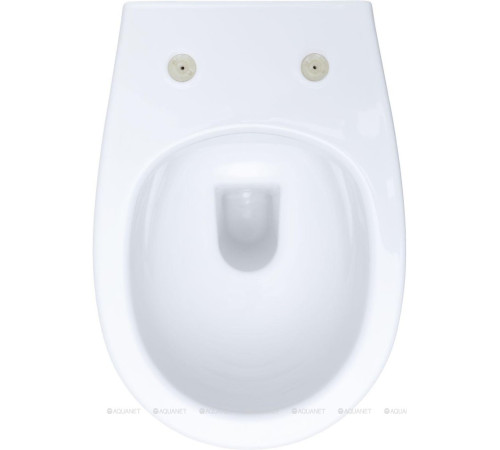 Унитаз подвесной Allen Brau FANTASY Rimless 510x363 мм белый 4.11004.20