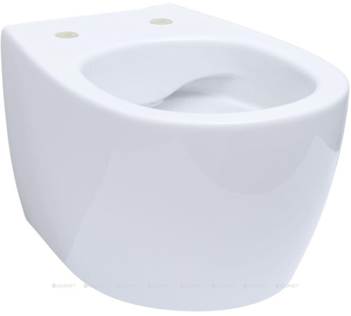 Унитаз подвесной Allen Brau FANTASY Rimless 510x363 мм белый 4.11004.20