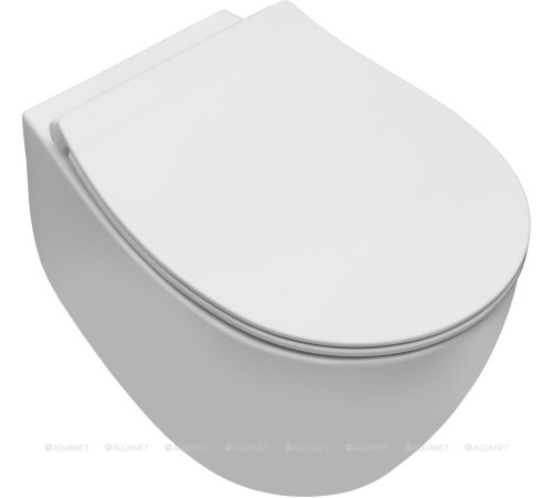 Унитаз подвесной Allen Brau FANTASY Rimless 510x363 мм белый матовый 4.11004.21