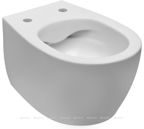 Унитаз подвесной Allen Brau FANTASY Rimless 510x363 мм белый матовый 4.11004.21