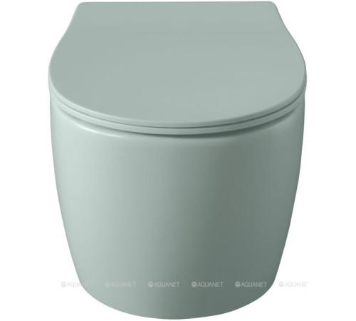 Унитаз подвесной Allen Brau FANTASY Rimless 510x363 мм мятный 4.11004.MT