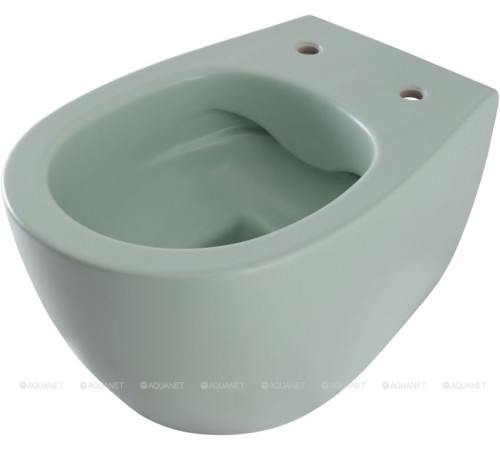 Унитаз подвесной Allen Brau FANTASY Rimless 510x363 мм мятный 4.11004.MT