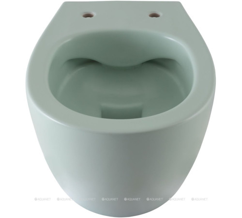 Унитаз подвесной Allen Brau FANTASY Rimless 510x363 мм мятный 4.11004.MT