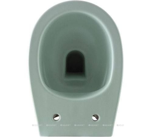 Унитаз подвесной Allen Brau FANTASY Rimless 510x363 мм мятный 4.11004.MT