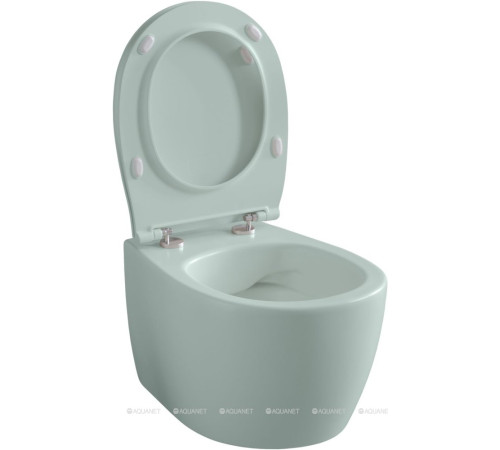 Унитаз подвесной Allen Brau FANTASY Rimless 510x363 мм мятный 4.11004.MT