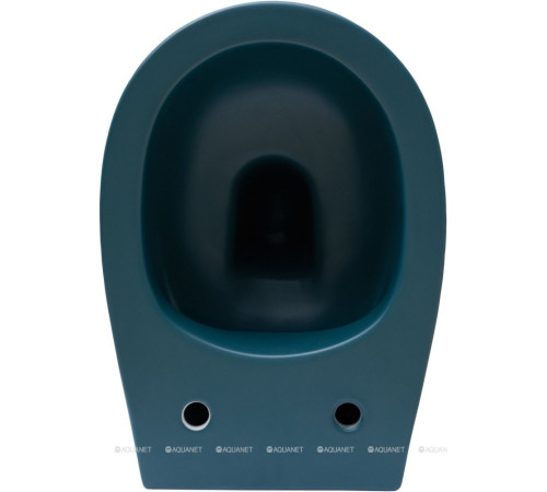 Унитаз подвесной Allen Brau Fantasy rimless без сиденья 510x363 мм петроль 4.11004.PT