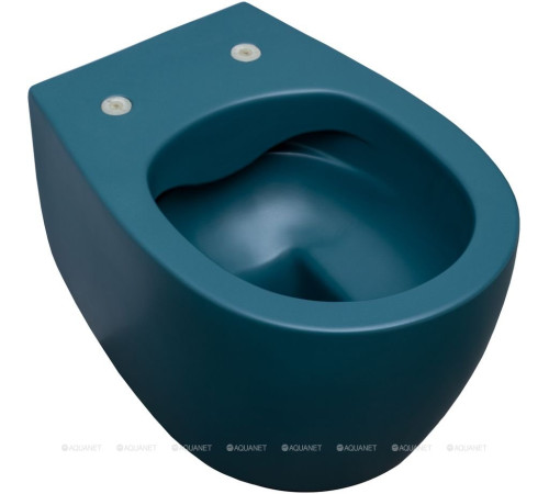 Унитаз подвесной Allen Brau Fantasy rimless без сиденья 510x363 мм петроль 4.11004.PT