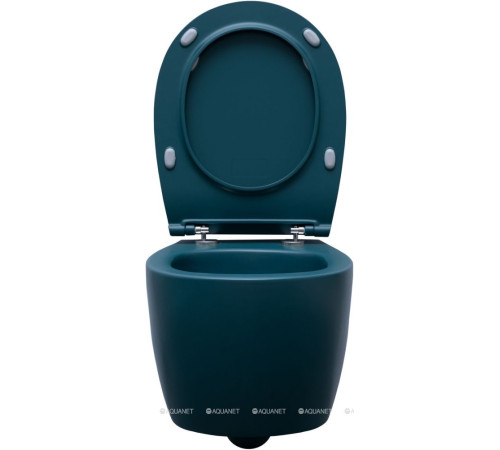 Унитаз подвесной Allen Brau Fantasy rimless без сиденья 510x363 мм петроль 4.11004.PT