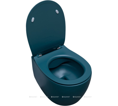 Унитаз подвесной Allen Brau Fantasy rimless без сиденья 510x363 мм петроль 4.11004.PT