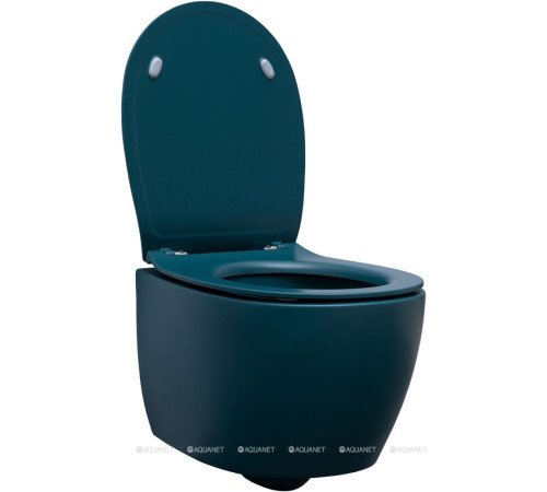 Унитаз подвесной Allen Brau Fantasy rimless без сиденья 510x363 мм петроль 4.11004.PT