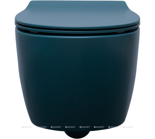 Унитаз подвесной Allen Brau Fantasy rimless без сиденья 510x363 мм петроль 4.11004.PT