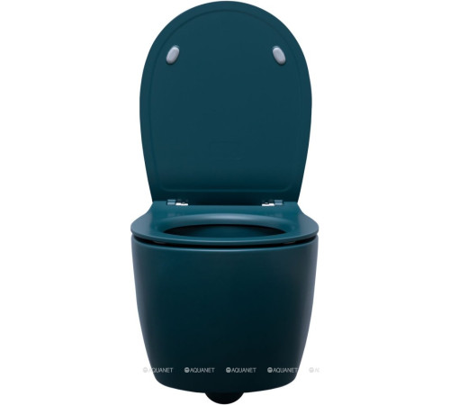 Унитаз подвесной Allen Brau Fantasy rimless без сиденья 510x363 мм петроль 4.11004.PT