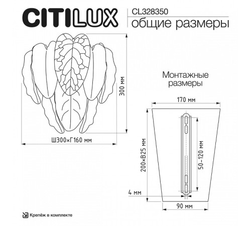 Накладной светильник Citilux HASIENDA CL328350