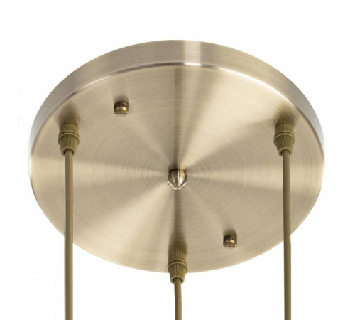 Подвесной светильник Citilux Garuda CL420033