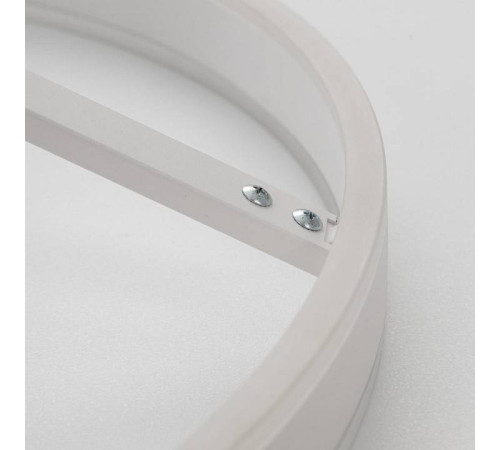 Светильник на штанге Citilux Дуэт CL719750