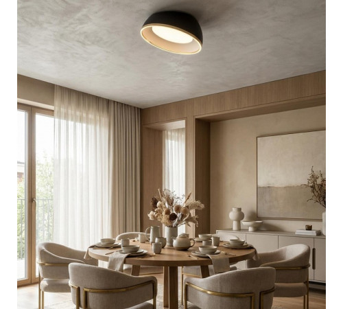 Накладной светильник Citilux FLOOM CL736151