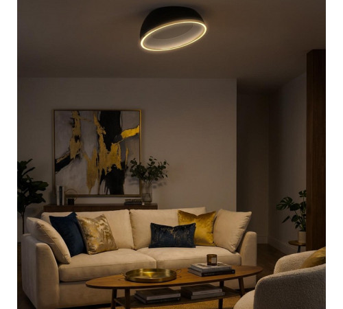 Накладной светильник Citilux FLOOM CL736151
