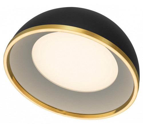 Накладной светильник Citilux FLOOM CL736151