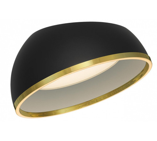 Накладной светильник Citilux FLOOM CL736151