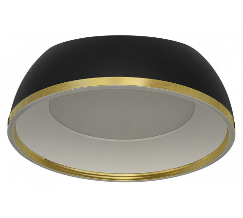 Накладной светильник Citilux FLOOM CL736151