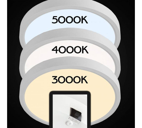 Накладной светильник Citilux Бейсик CL738180V