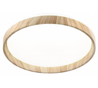 Накладной светильник Citilux ENZO CL753452G